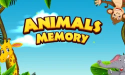 image bg Super Animal Memory
