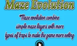Maze Evolution image