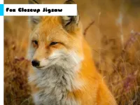 image bg Fox Closeup Jigsaw