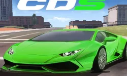 Racing Car Dual Control image