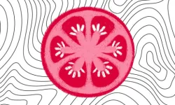 image bg SliceItUp