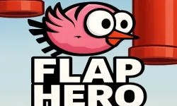 Flap Hero image