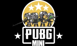 PUBG Mini Multiplayer image