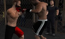 Undisputed MMA image