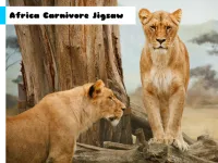 Africa Carnivore Jigsaw image