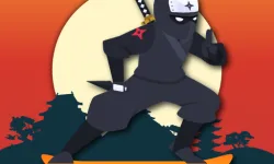 image bg Lava And Ninja Skateboard