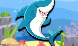 image bg Dady Shark Adventure