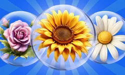 image bg Dice Puzzle Flowers!