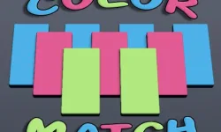 Color Match Puzzle image