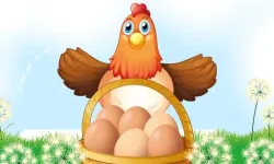 image bg Egg Collector