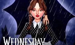Celebrity Wednesday Addams Style image