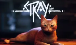 Stray image