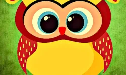 image bg Funny Owls Jigsaw
